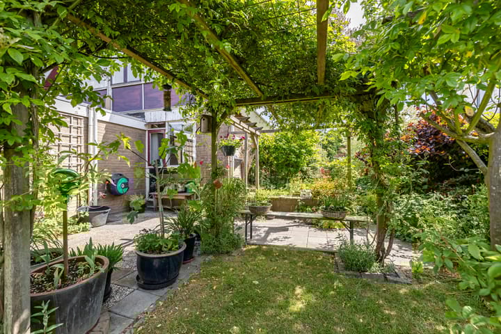 Foto 70 van de Rippert 34