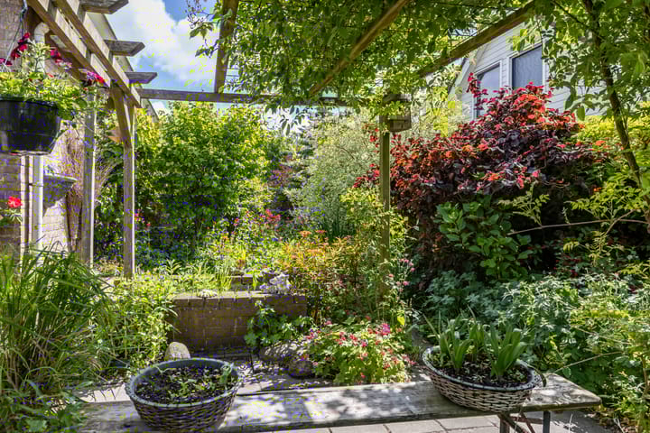 Foto 71 van de Rippert 34