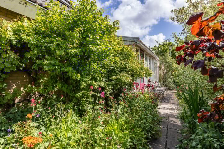 Foto 73 van de Rippert 34