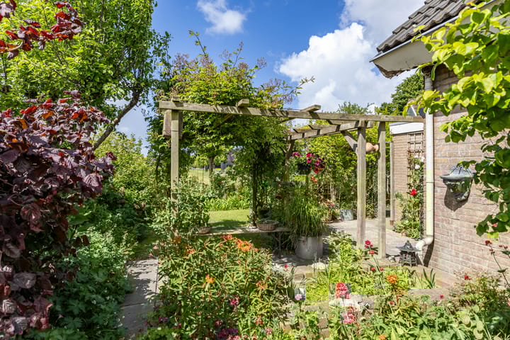 Foto 75 van de Rippert 34