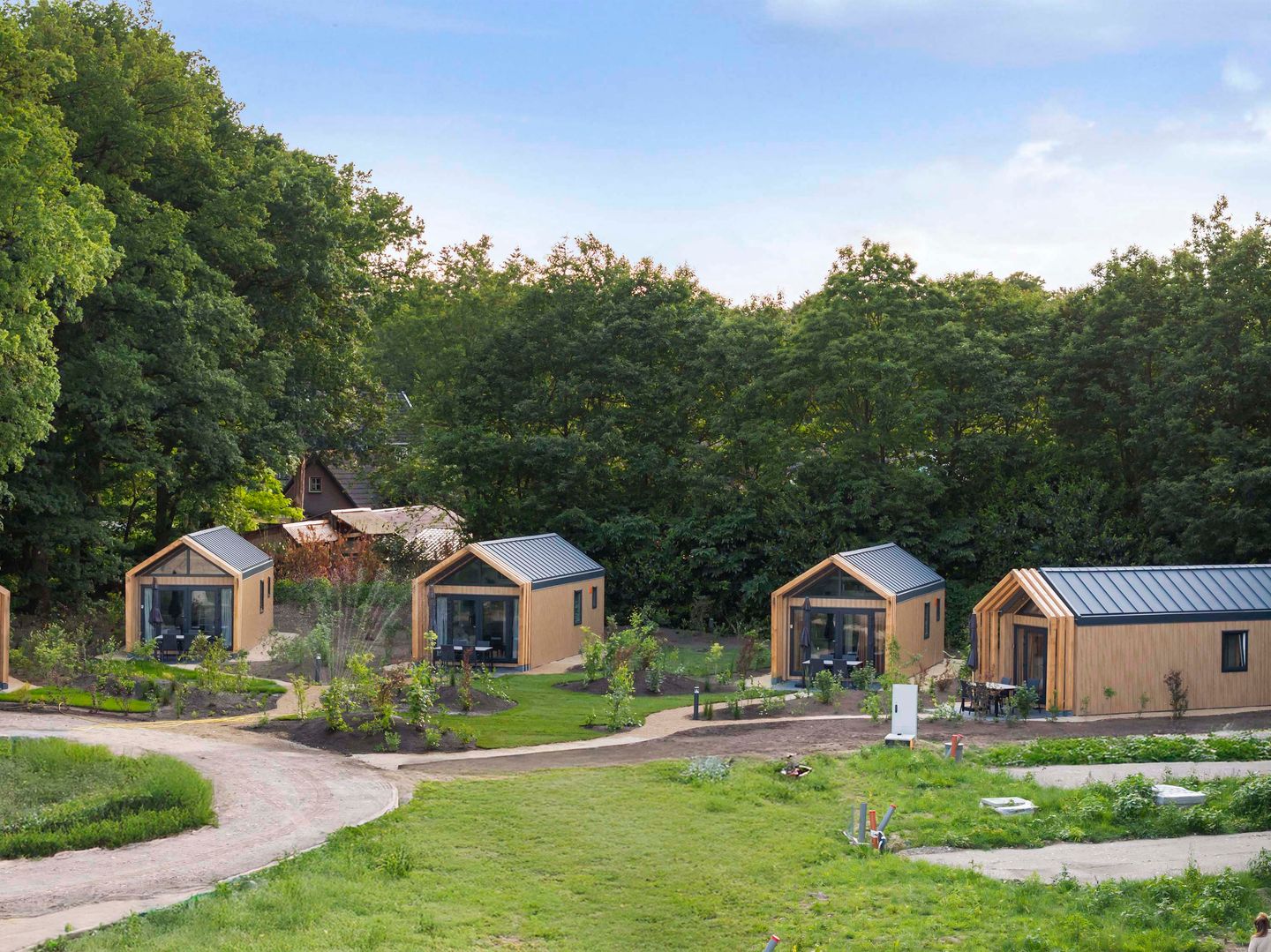 Foto 10 van Nieuwe Molenweg Type TINY BOS LODGE