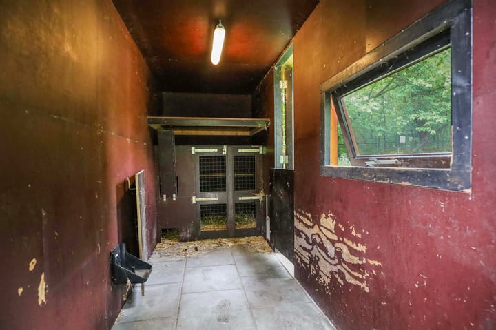 Foto 69 van Hoge Bergweg 14