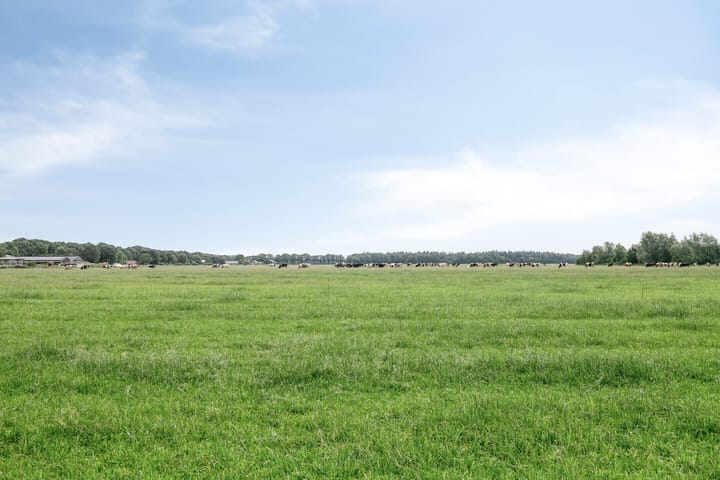 Foto 45 van Sint Josephstraat 12