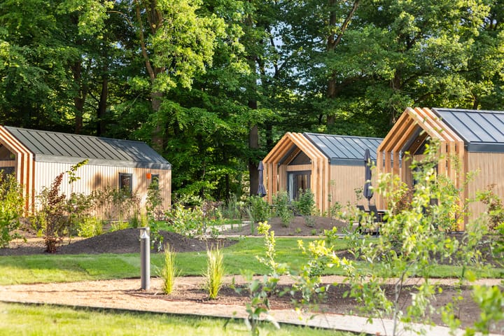 Photo 21 of Nieuwe Molenweg Type TINY BOS LODGE
