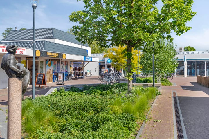 Foto 28 van van Wassenaerstraat 66