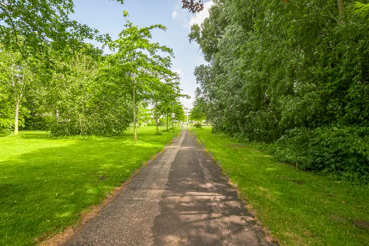 Foto 60 van Allegro 114