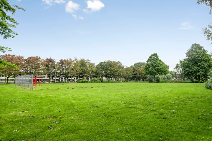 Foto 61 van Allegro 114