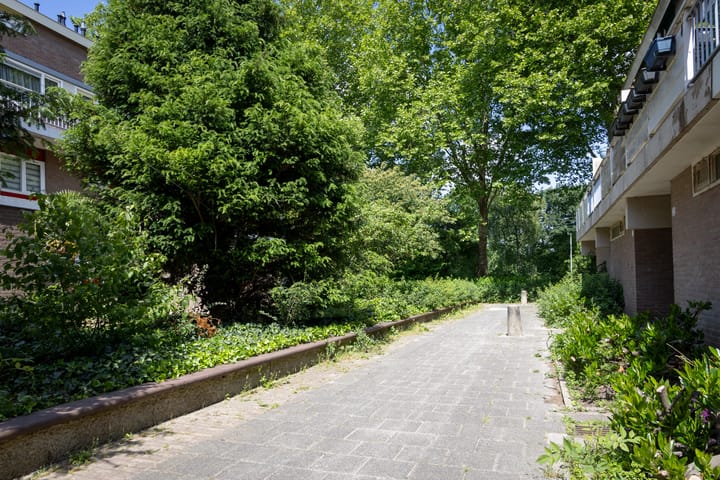 Photo 13 of Boogschutter 20