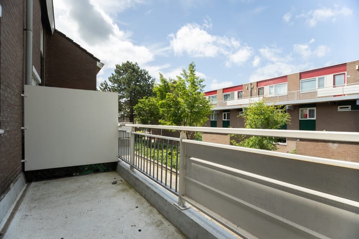 Photo 56 of Boogschutter 20