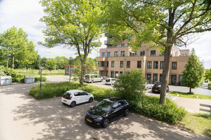 Photo 60 of Boogschutter 20