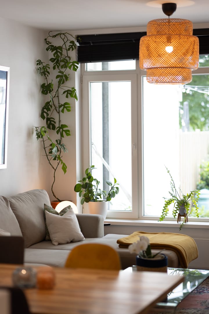 Foto 7 van Schieweg 110-A