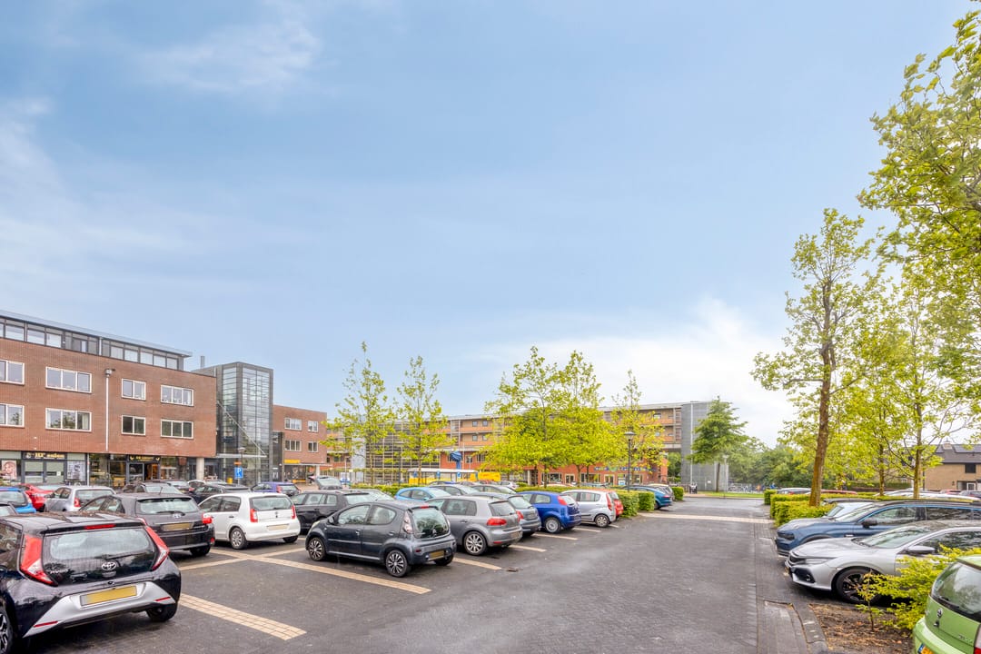 Foto 37 van Hunze 153