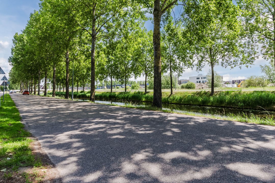 Foto 41 van Prinses Catharina-Amalialaan 3