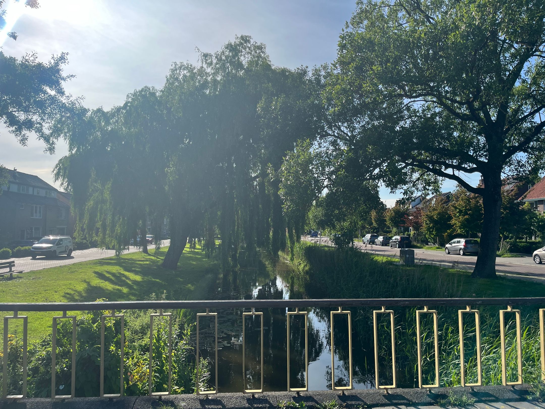 Foto 36 van Iepenstraat 17