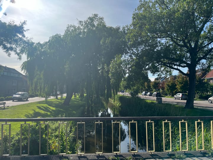 Foto 36 van Iepenstraat 17