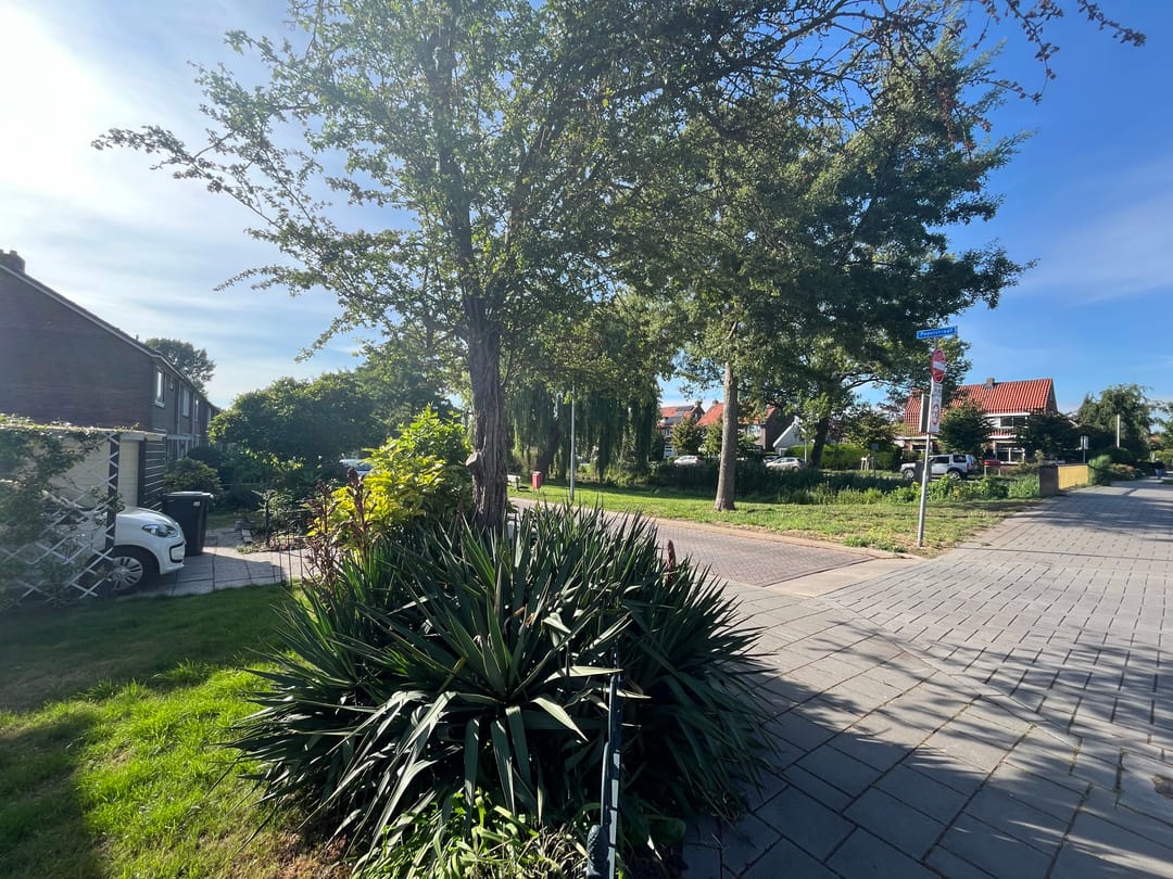 Foto 37 van Iepenstraat 17