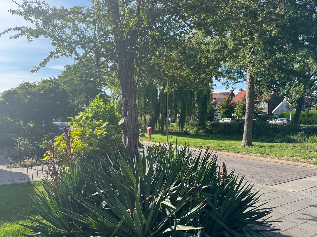 Foto 38 van Iepenstraat 17