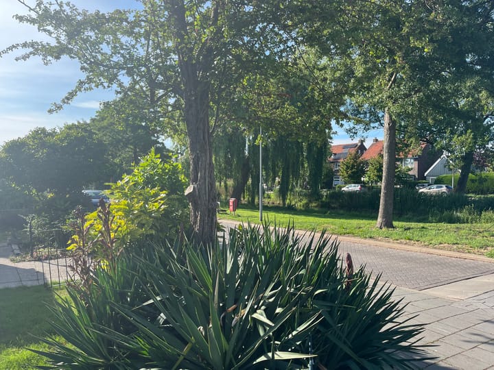 Foto 38 van Iepenstraat 17