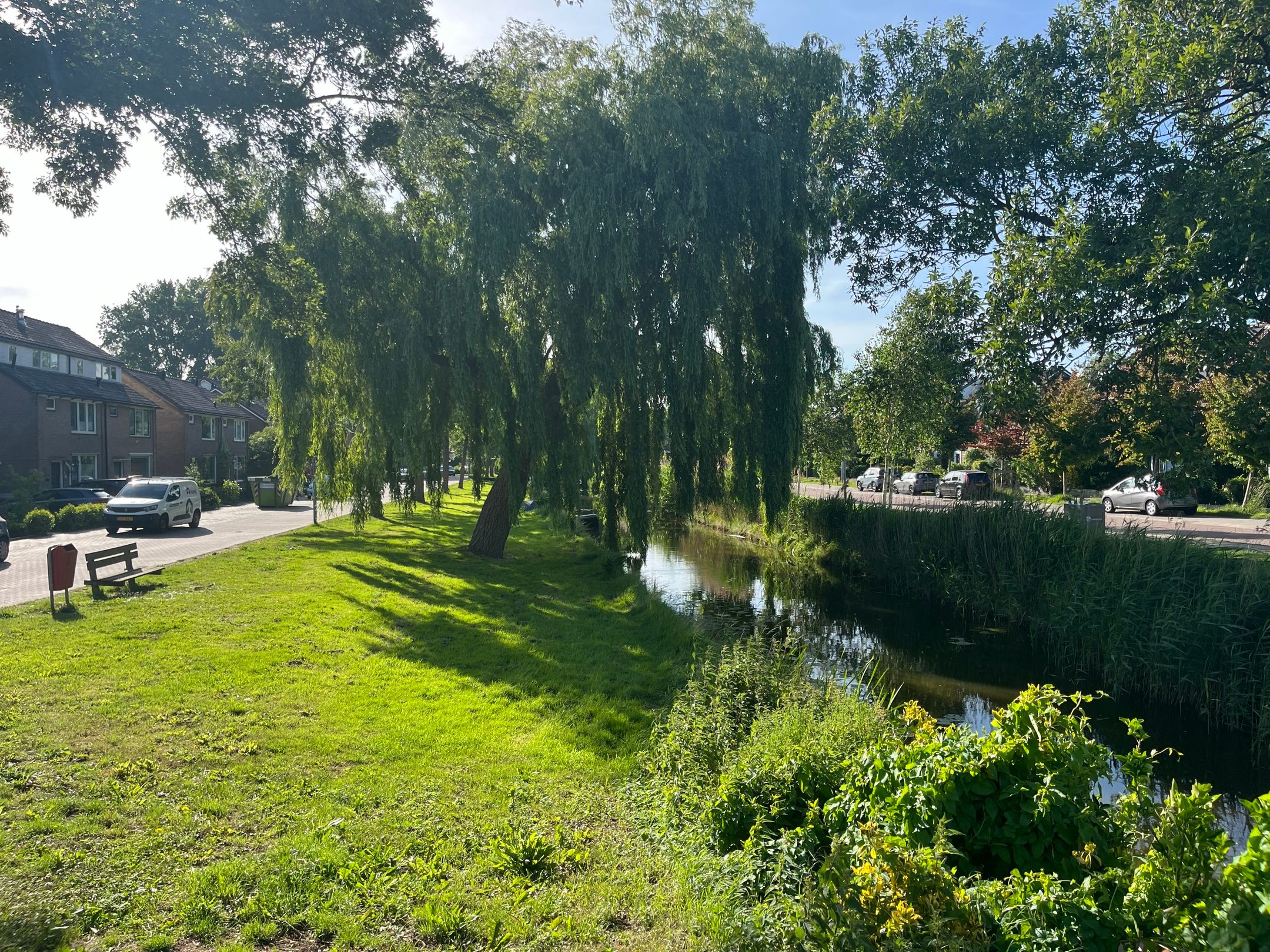 Foto 39 van Iepenstraat 17