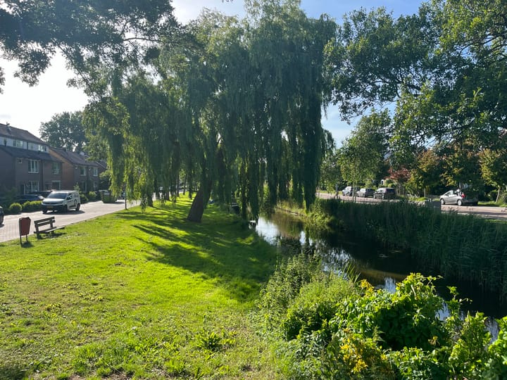 Foto 39 van Iepenstraat 17