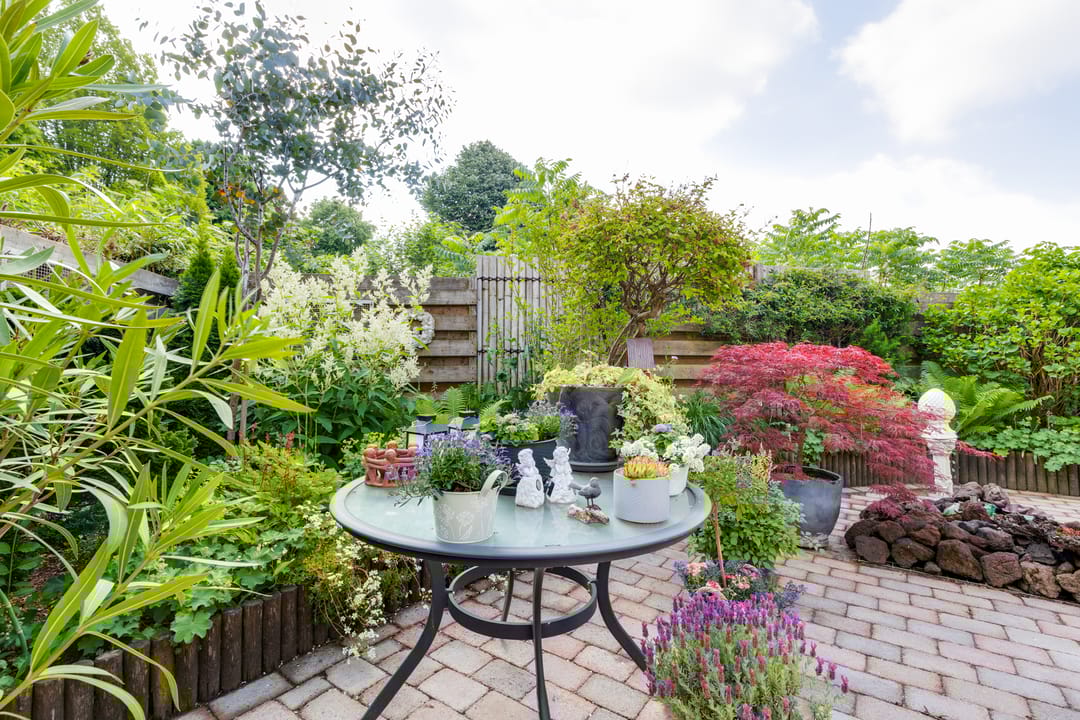 Foto 52 van Nassauhof 3