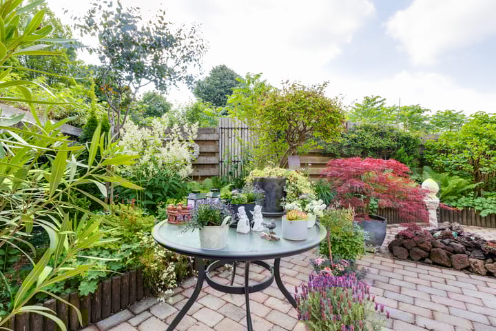 Foto 52 van Nassauhof 3