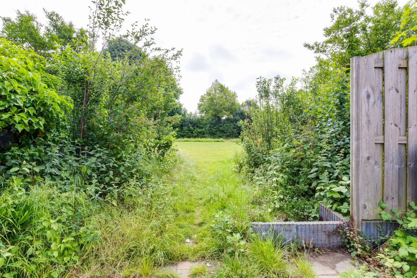 Foto 59 van Nassauhof 3