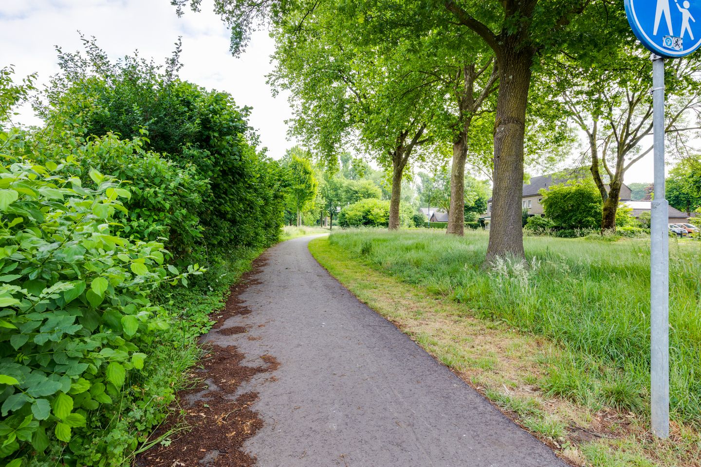 Foto 65 van Nassauhof 3