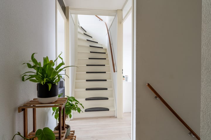 Photo 14 of Amaryllishof 39