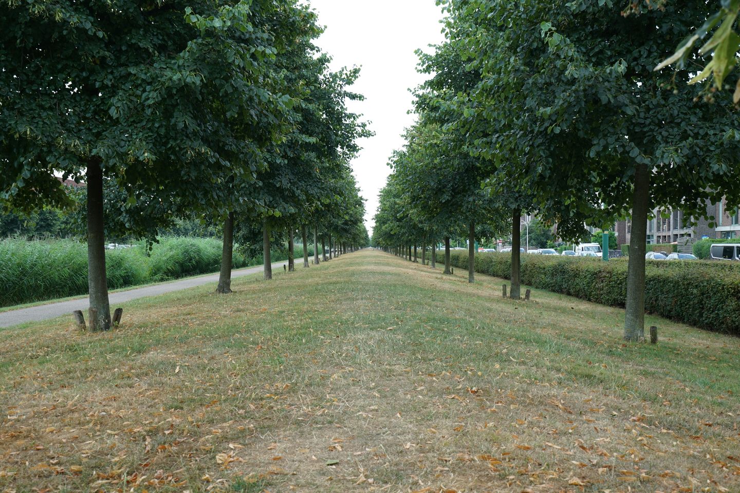 Foto 29 van Nootdorpse Landingslaan 154