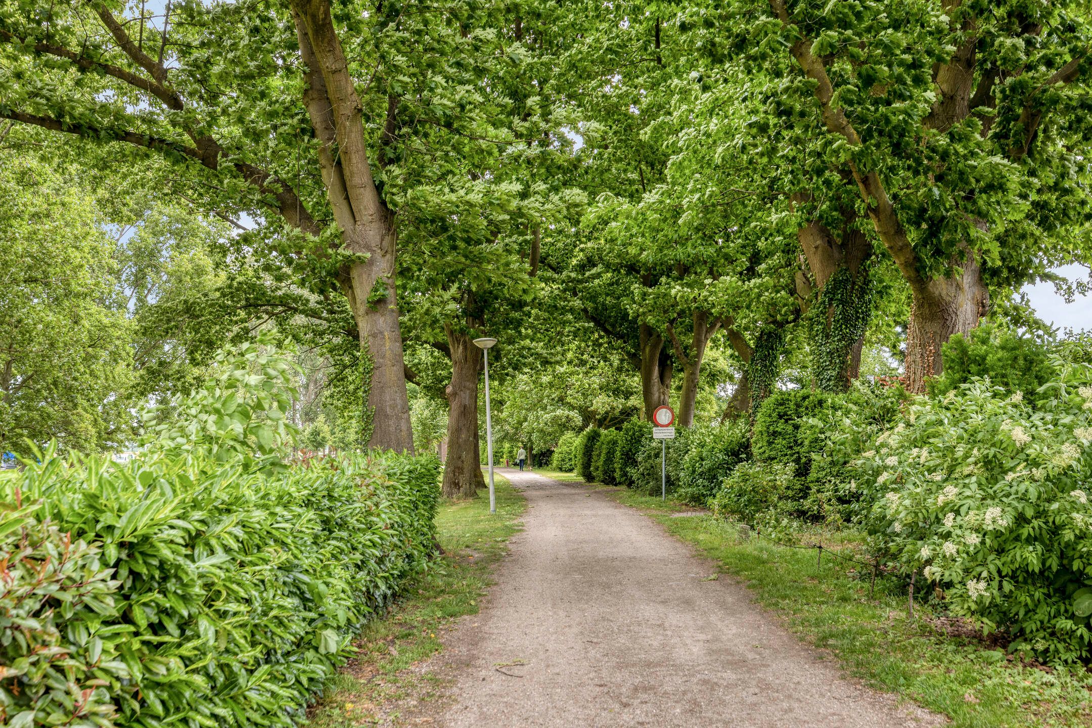 Foto 21 van Loeffstraat 34-A