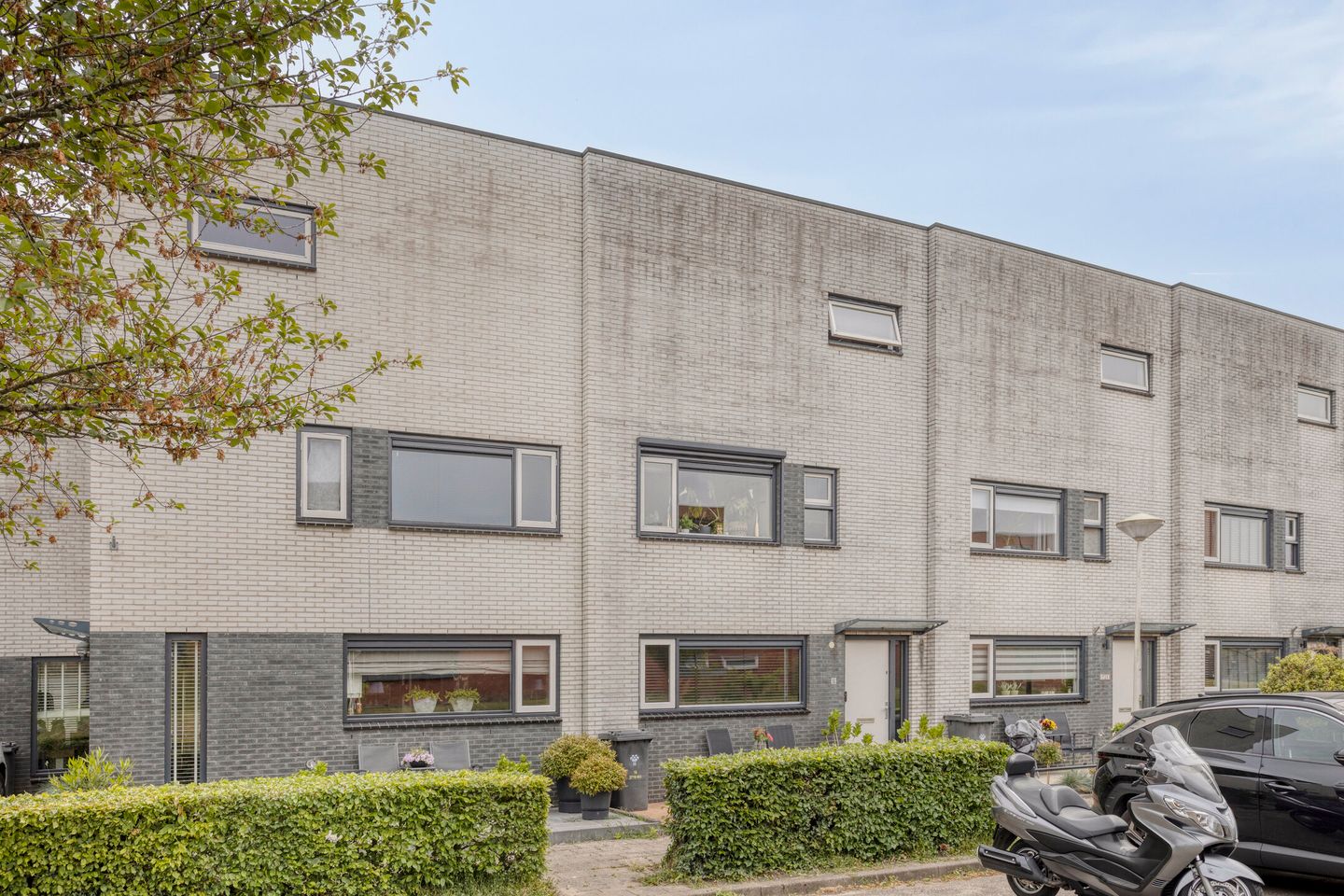 Foto 19 van Azobéhout 18