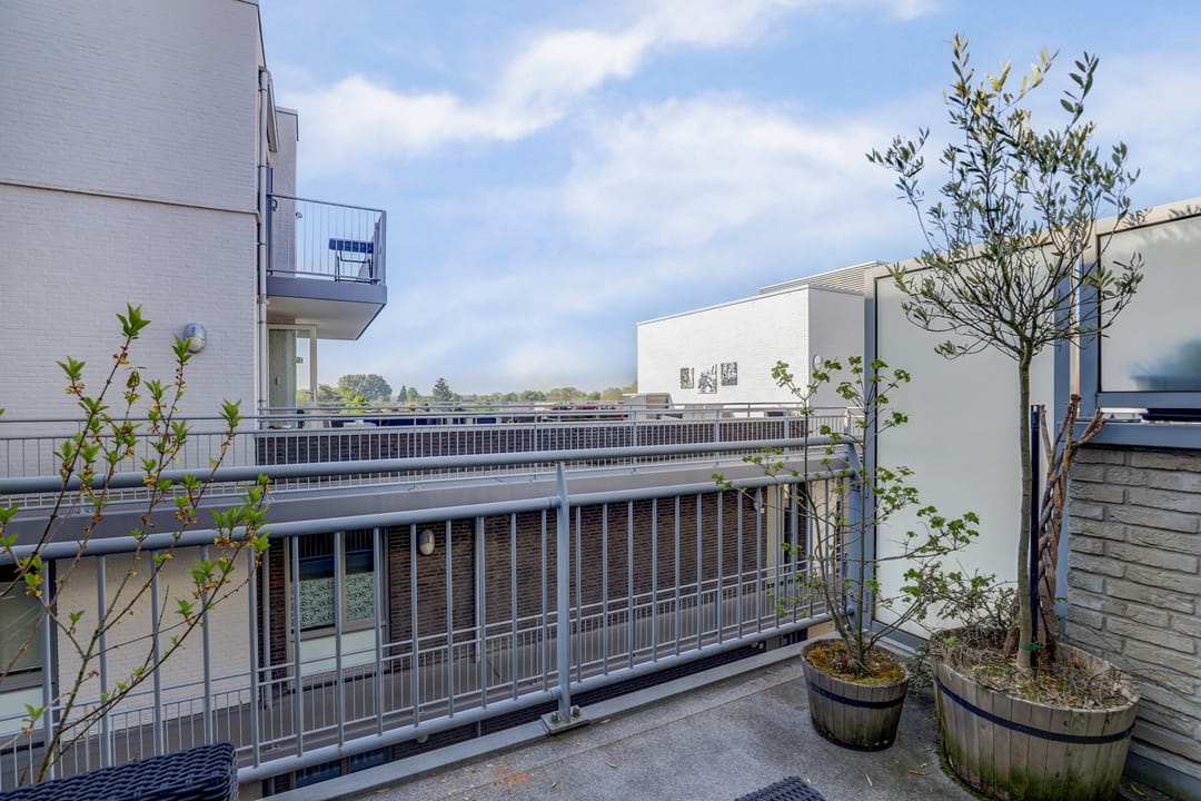 Foto 23 van Zandberg 58