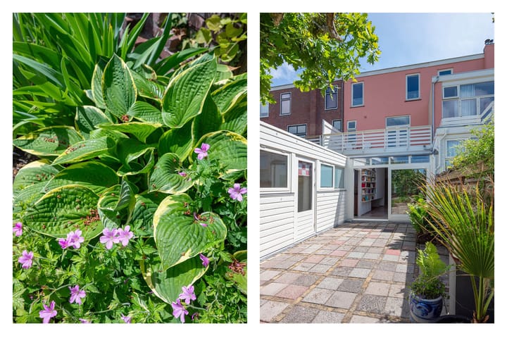 Foto 29 van Duvenvoordestraat 22