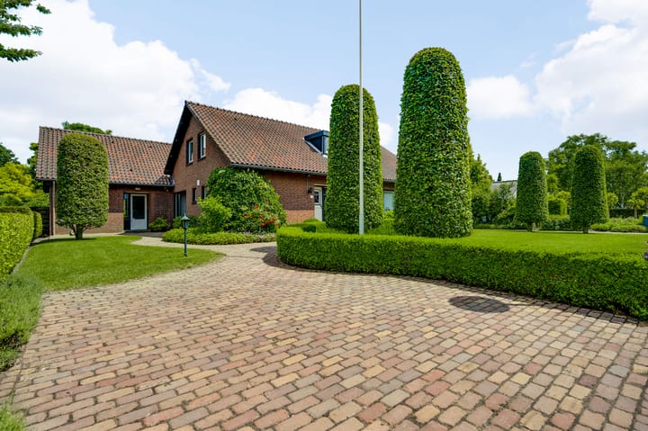 Foto 2 van Asseltsestraat 20