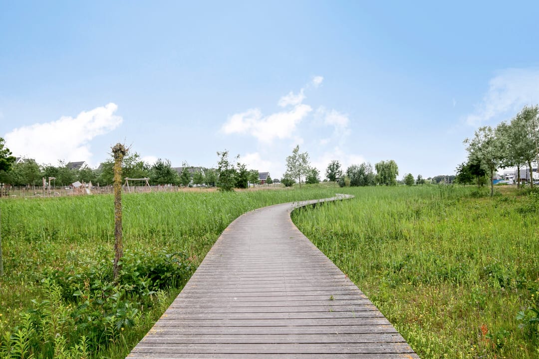 Foto 52 van Vlinderhof 23