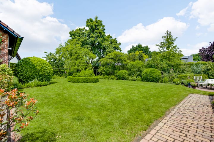 Foto 48 van Asseltsestraat 20