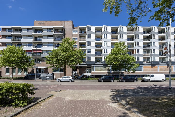 Wijckermolen 52