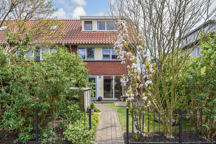 Blauw Glidkruid 54