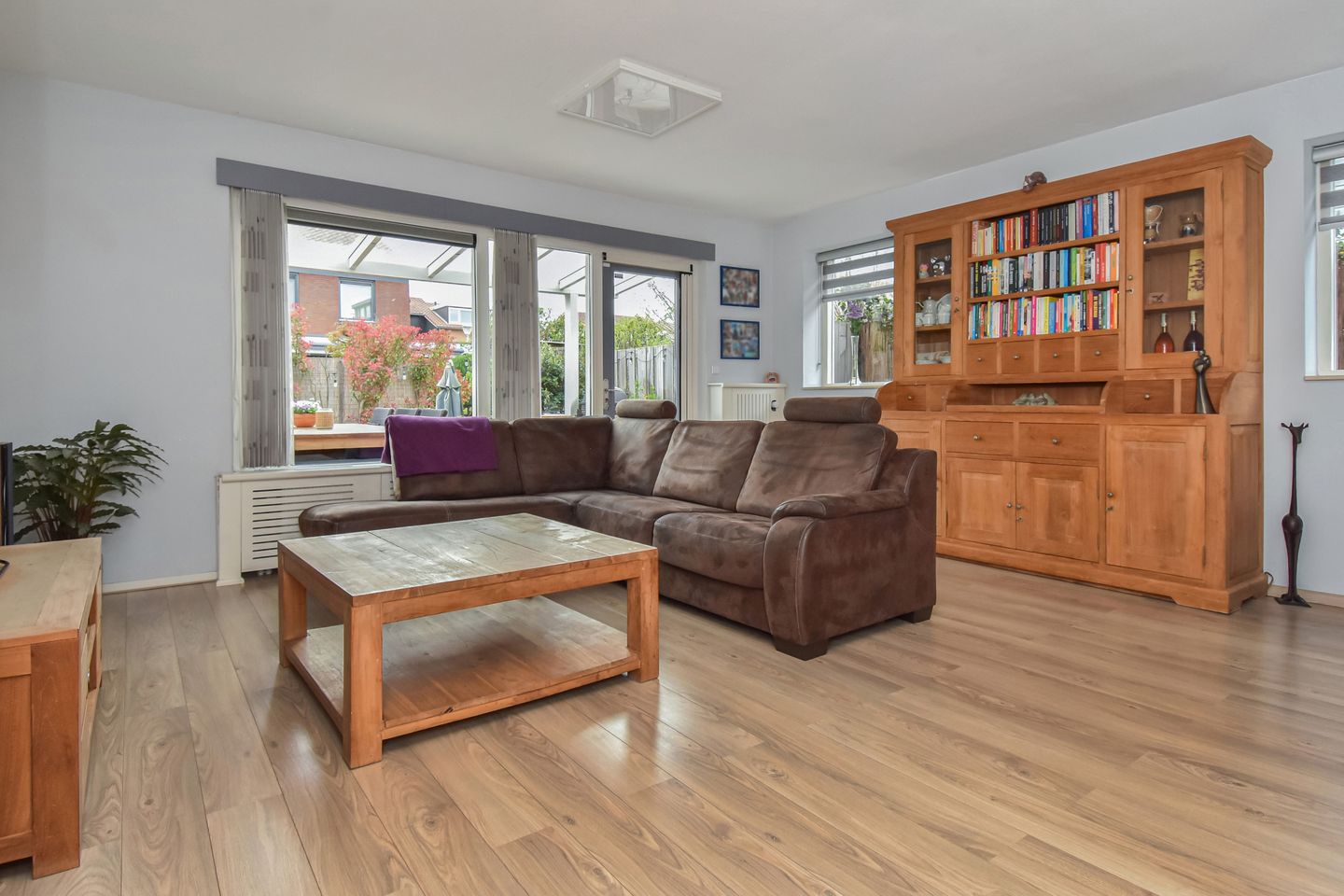 Foto 4 van Blauw Glidkruid 54