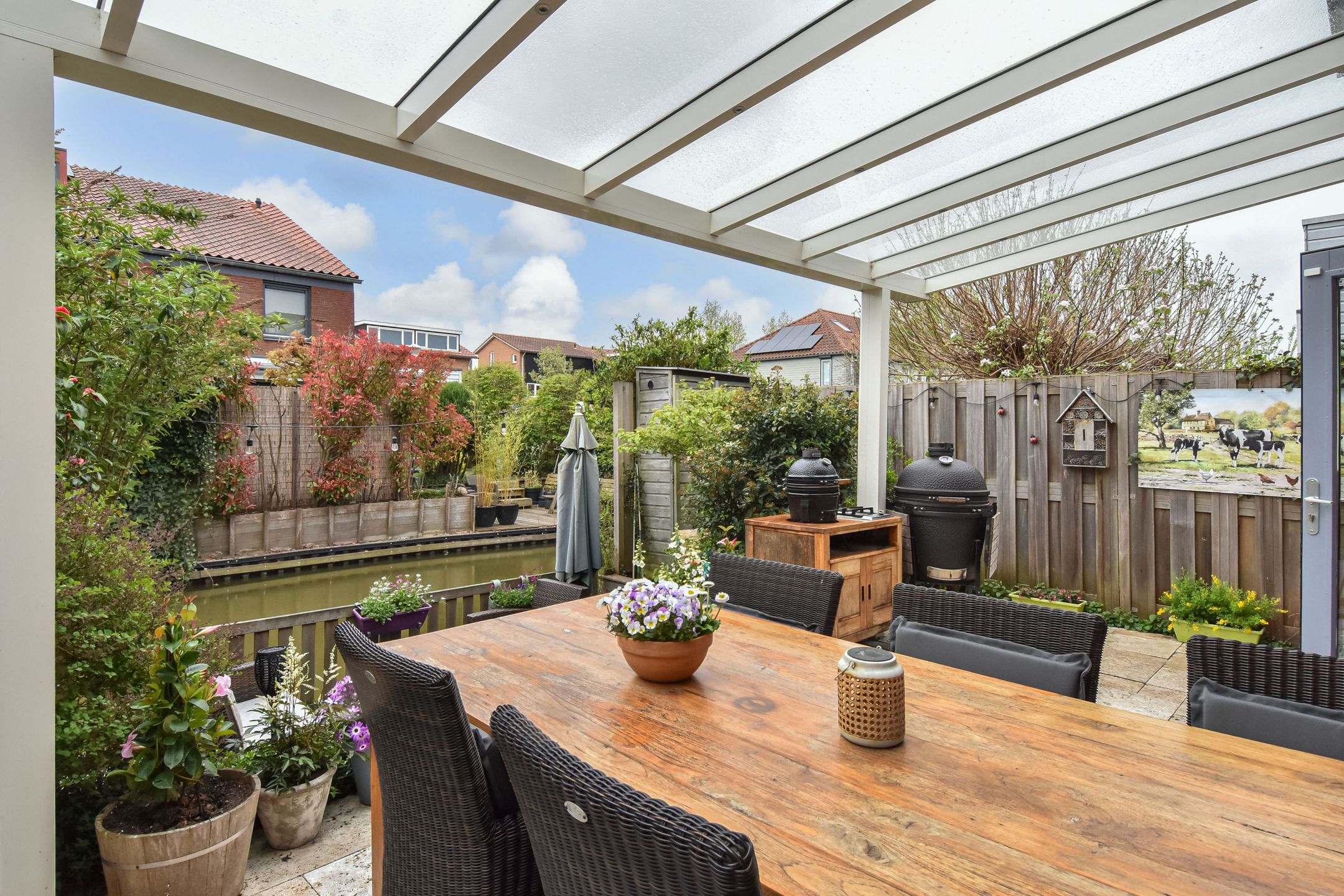 Foto 3 van Blauw Glidkruid 54