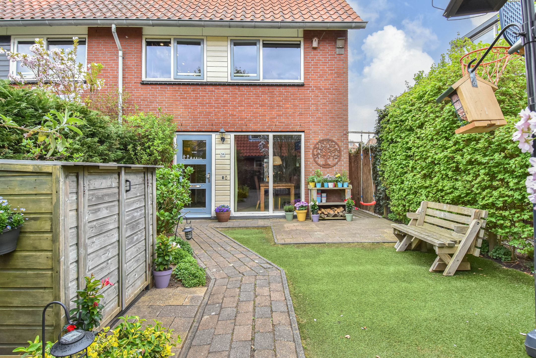 Foto 6 van Blauw Glidkruid 54