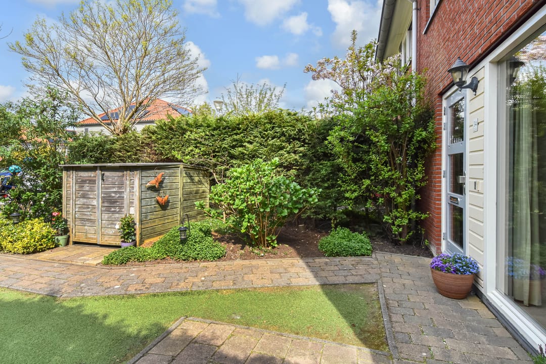 Foto 7 van Blauw Glidkruid 54