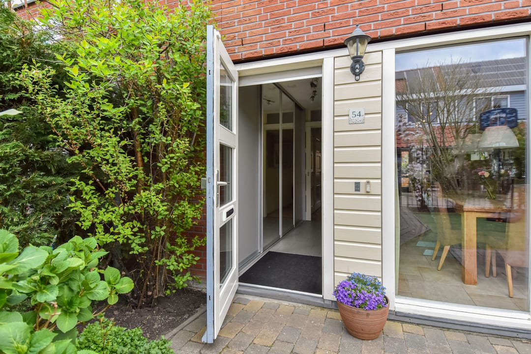 Foto 8 van Blauw Glidkruid 54