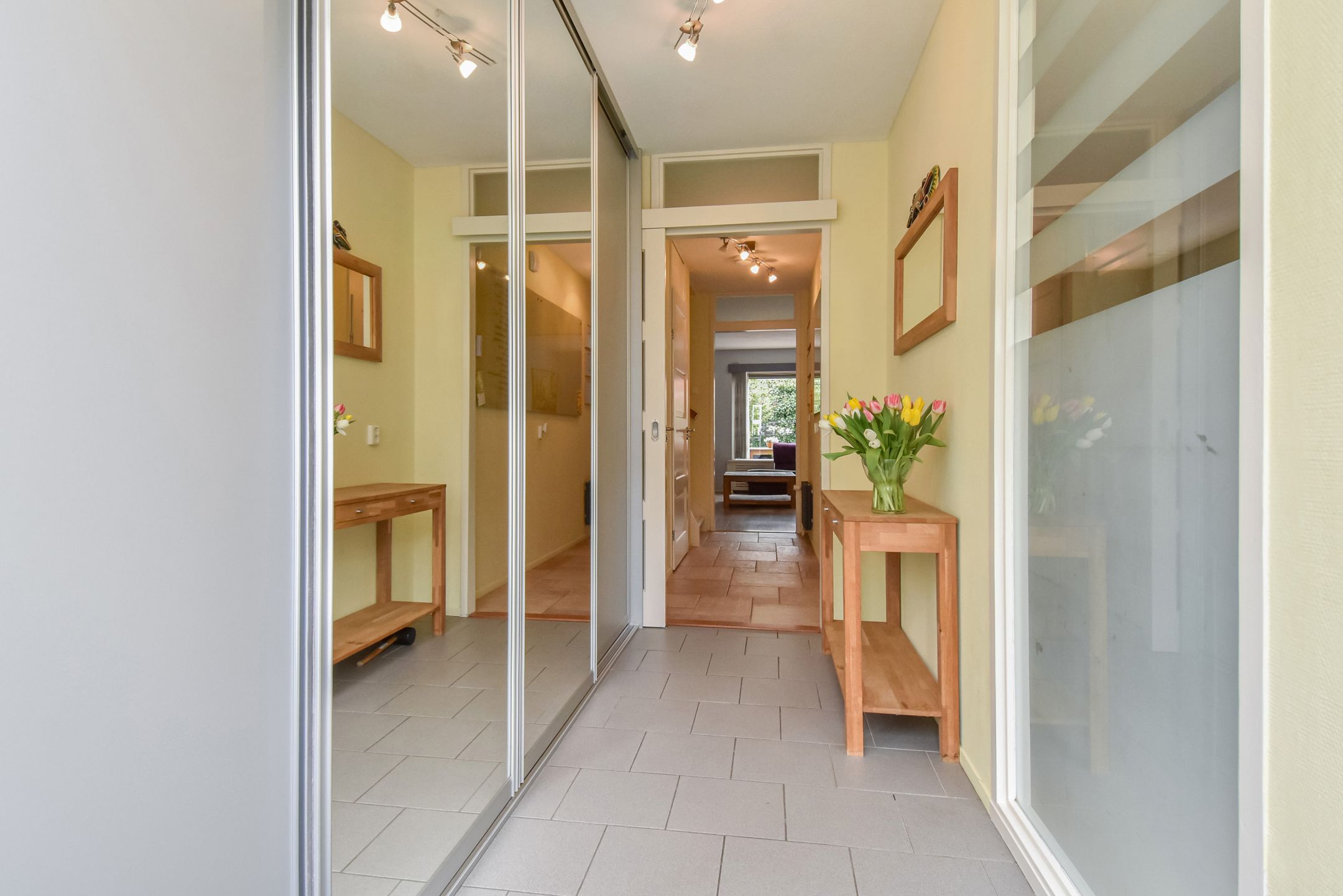 Foto 9 van Blauw Glidkruid 54