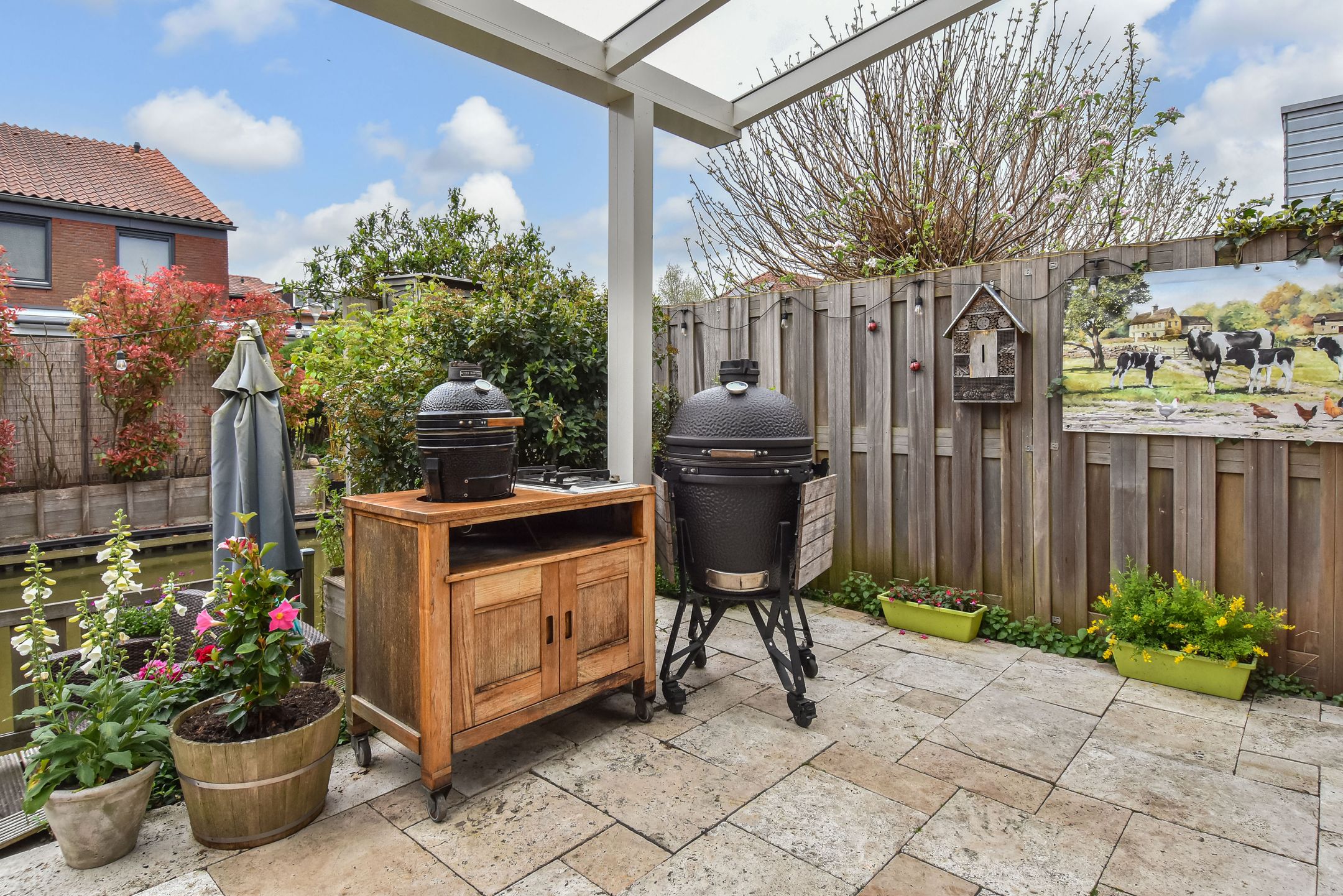 Foto 18 van Blauw Glidkruid 54