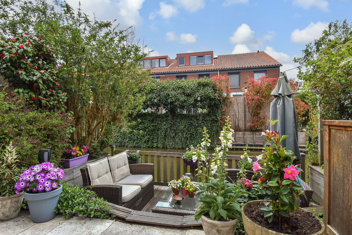 Foto 20 van Blauw Glidkruid 54