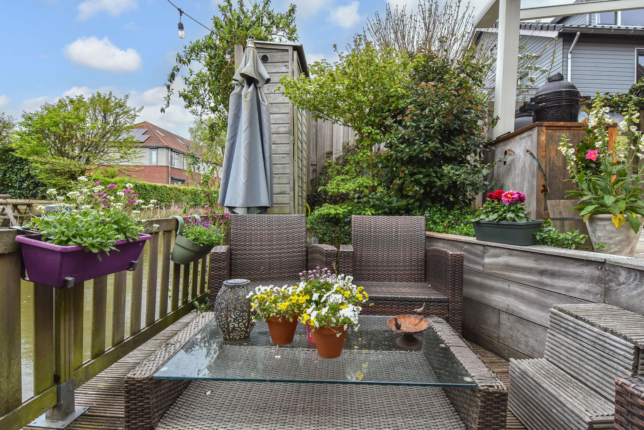 Foto 21 van Blauw Glidkruid 54