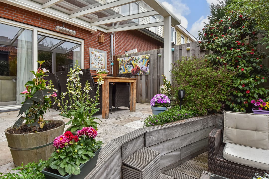 Foto 22 van Blauw Glidkruid 54