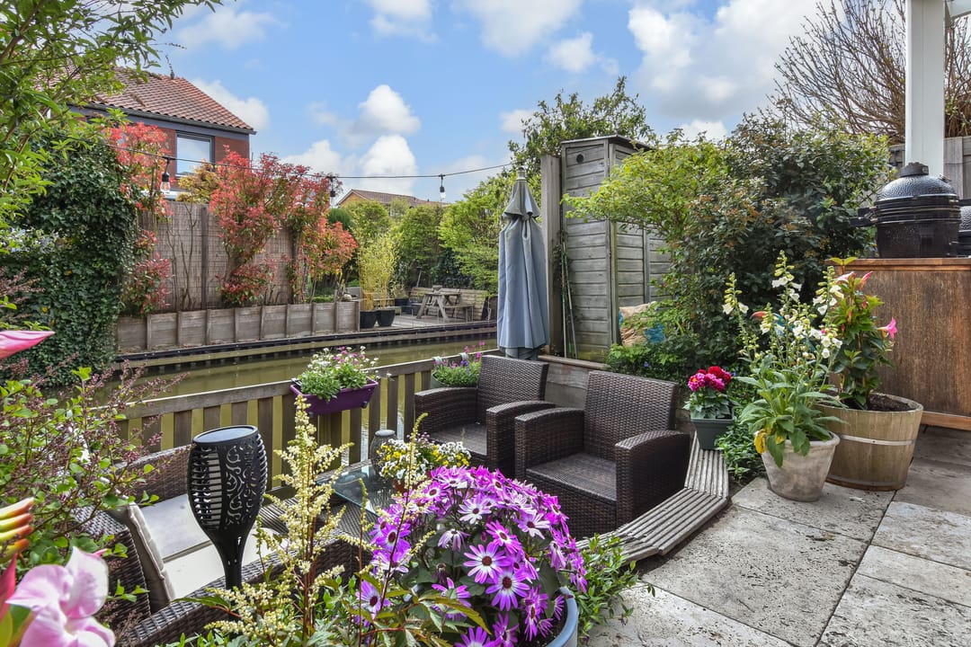 Foto 23 van Blauw Glidkruid 54